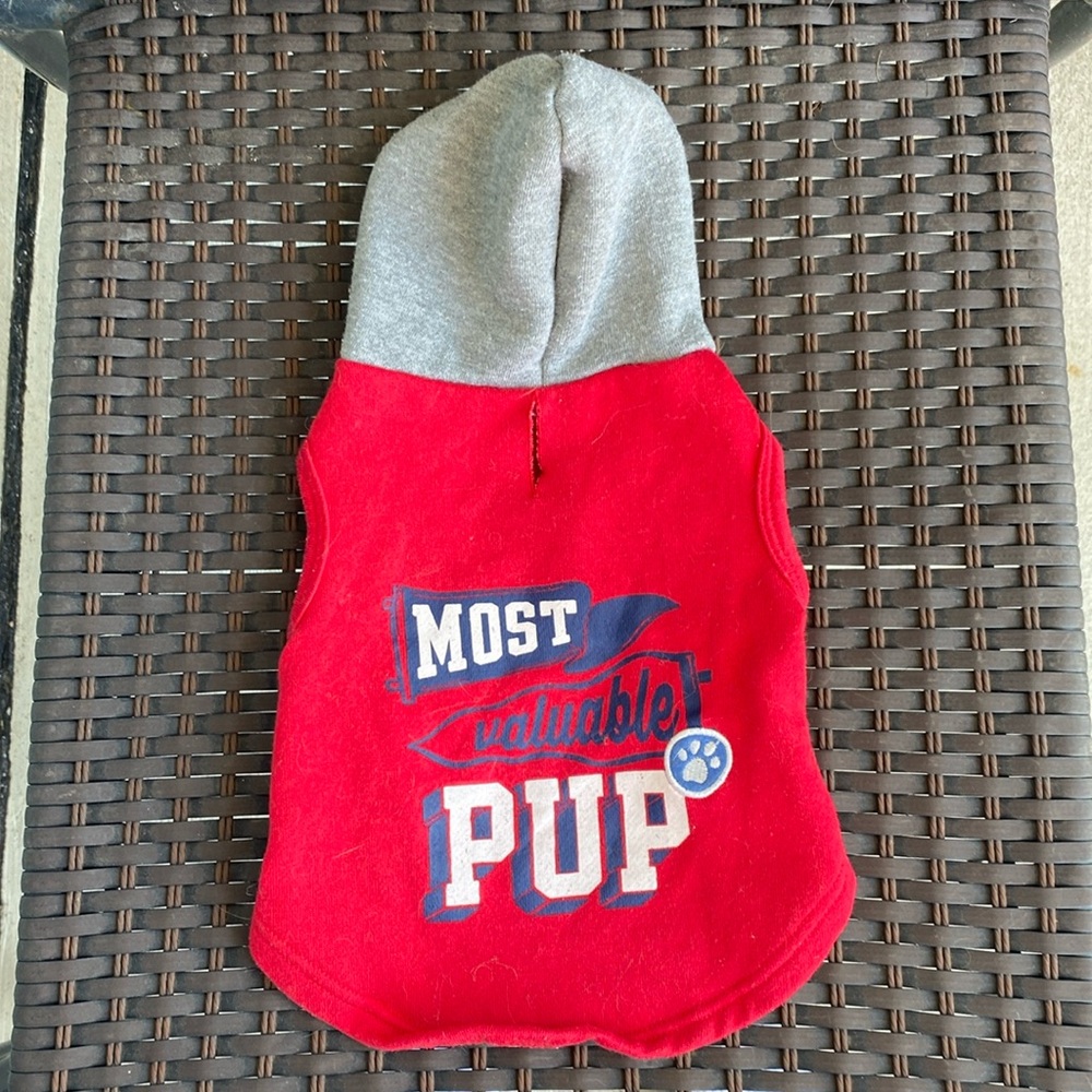 Dog Sports Hoodie